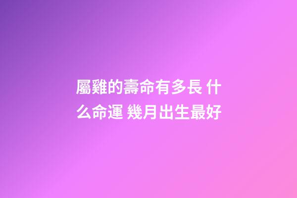 屬雞的壽命有多長 什么命運 幾月出生最好
